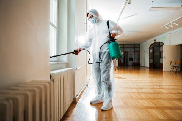 Best Pest Prevention Services  in USA